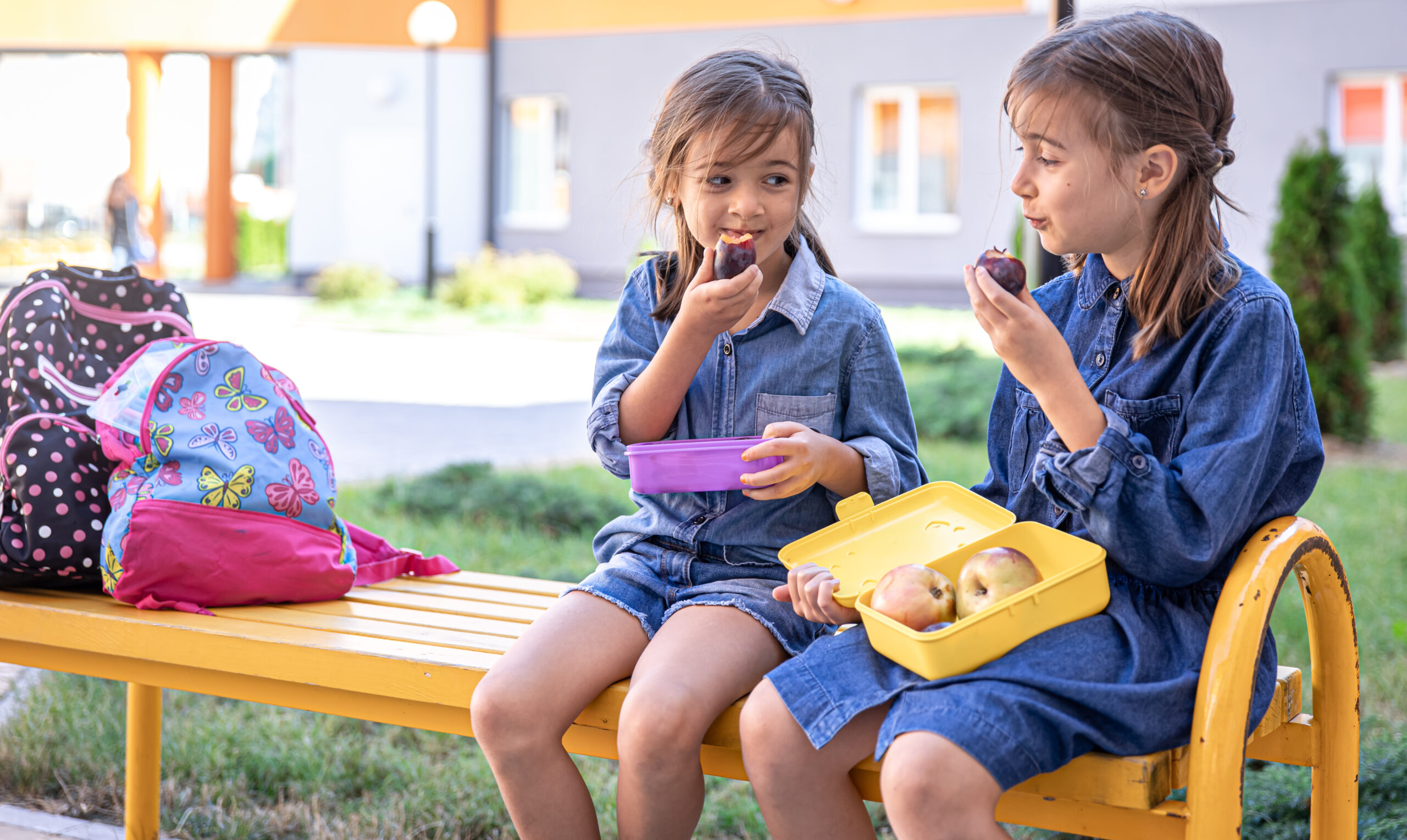 School Catering Services